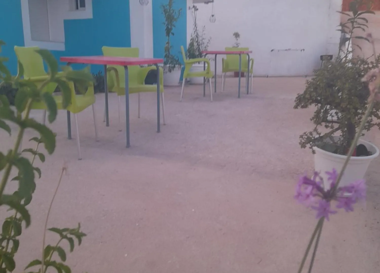 Estudio Dominicana In Albufeira Gale